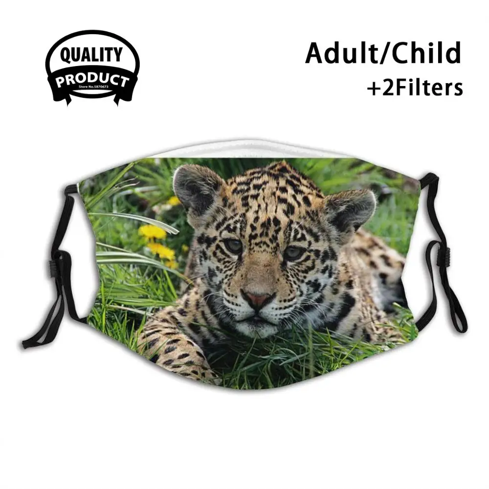 

Spot Fashion Funny Design Black Reusable Masks Cat Cats Animal Animals Baby Cub Cubs Wildlife Nature