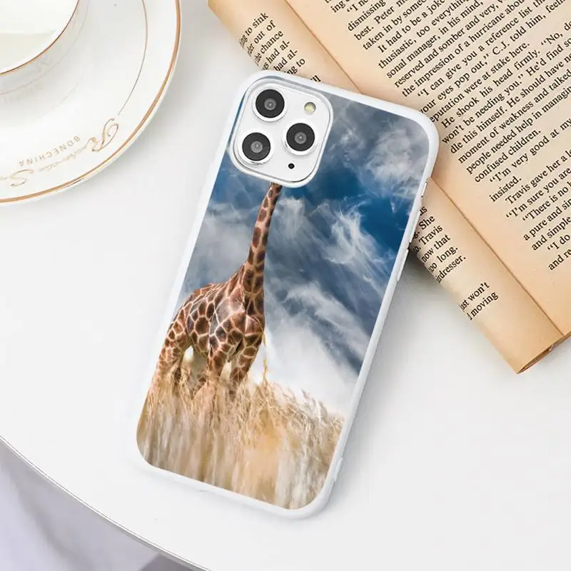 

giraffe Phone Case Candy Color White for iPhone 11 pro XS MAX 8 7 6 6S Plus X 5S SE 2020 XR