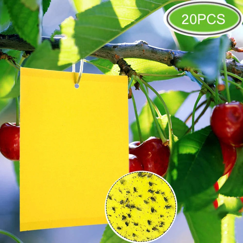 

Catcher Bugs Sticky Control Boards 10/20PCS Sticky Fly Trap Paper Fruit