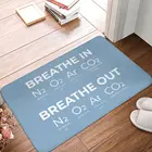 Придверный коврик Funny-Science, дышащий, нескользящий, водостойкий