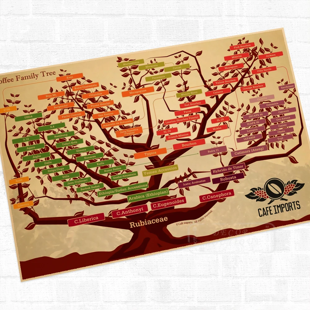 Кофе в зернах подвеска виде генеалогического дерева плакат Классический ретро