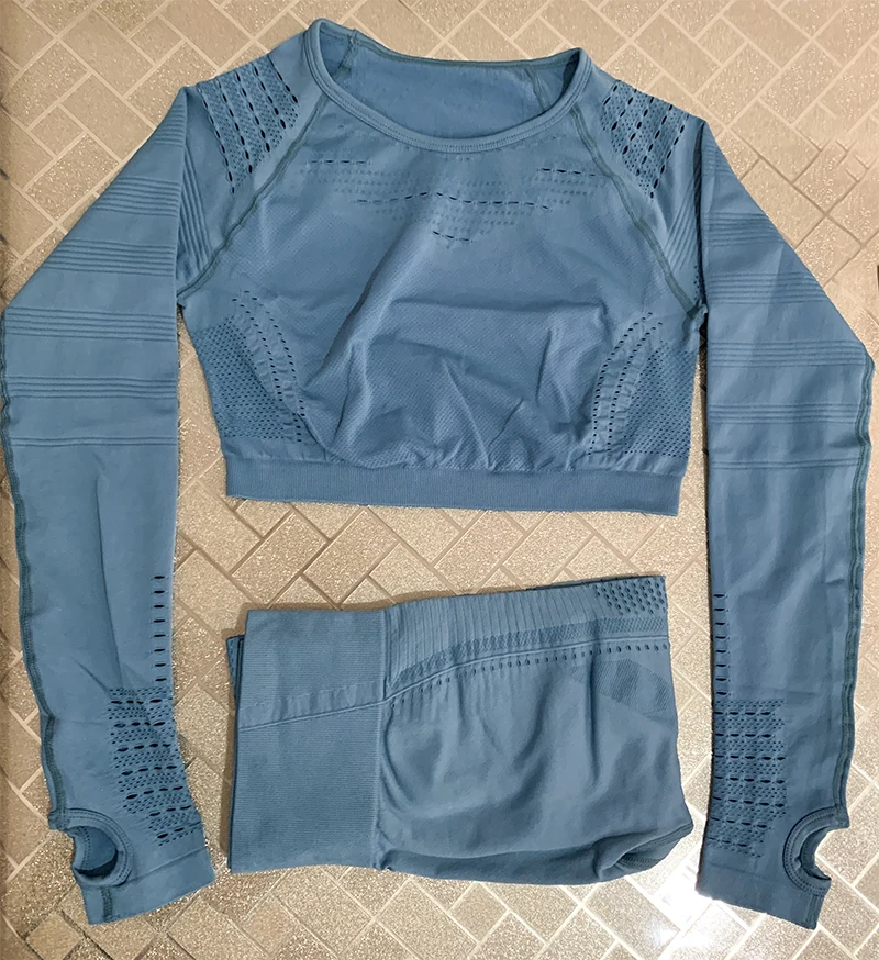 Blue sets Женский бесшовный набор для фитнеса с высокой талией, энергетический спортивный костюм, спортивные сетчатые леггинсы, рубашки, спортивный костюм с длинными рукавами, спортивные комплекты для бега - Цвет: Blue sets