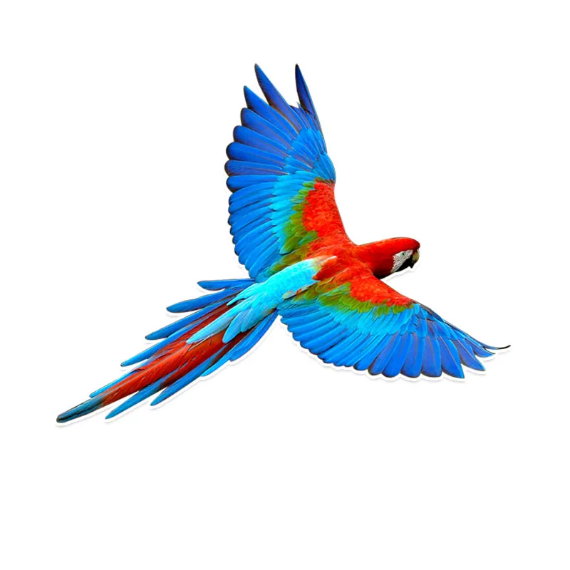 

Personality Beautiful Parrot Car Stickers Motorcycle Decals Waterproof Sunscreen Decals PVC 12cm X 15cm