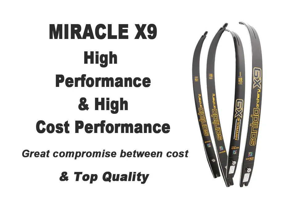 

Miracle X9 ILF Limb 66 Inches 16-40 LBS Graphite Foam Intermediate Recurve Bow Limbs for Archery Hunting Shooting