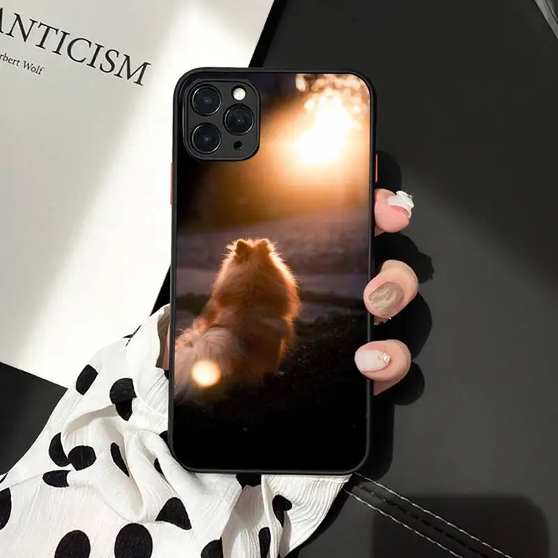 Чехол для телефона с изображением Померанской собаки iphone 12 11 7 8 plus mini x xs xr pro max