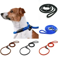 nylon rope slip dog lead 5ft pet collar training show leash red black blue brown