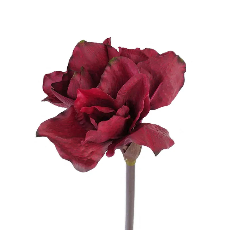 DIY проектов искусственный цветок Amaryllis Clivia украшение для гостиной цветы цветная