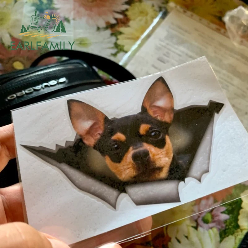 EARLFAMILY, 13 см x 8,3 см, черный и загар, чихуахуа, Виниловая наклейка, рваная металлическая наклейка, Светоотражающая наклейка, s, водонепроницаемая, автомобильная наклейка, наклейки