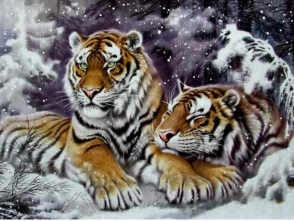 Картина из страз тигр с тигрятами инструкция к стразами Картина из страз тигр с тигрятами инструкция к стразами