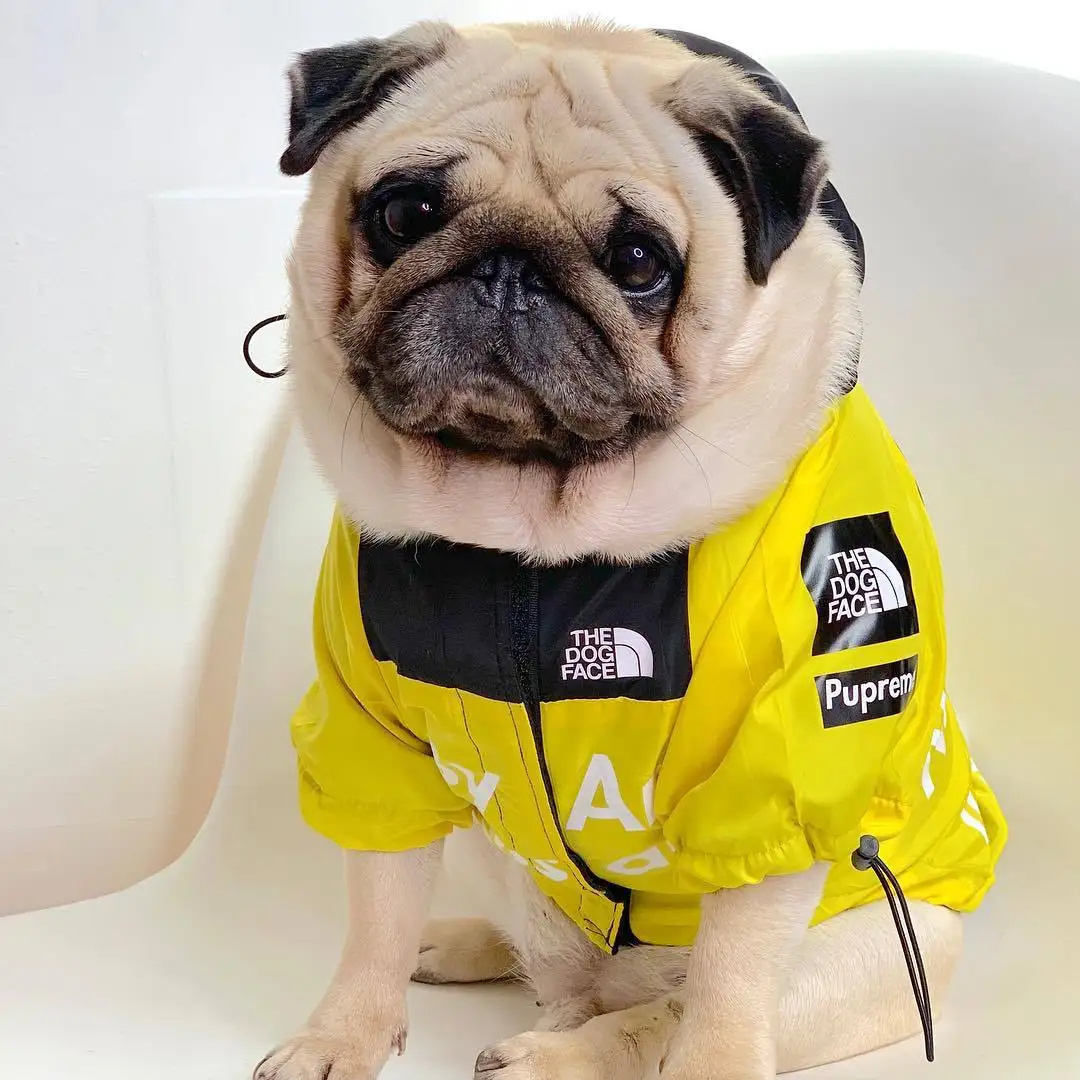 

Pet Dog Raincoat Jacket Clothes Windproof Cat Dog Hoodie Fashion Waterproof Reflective Pet Clothing Small Pets Large Pets Coat