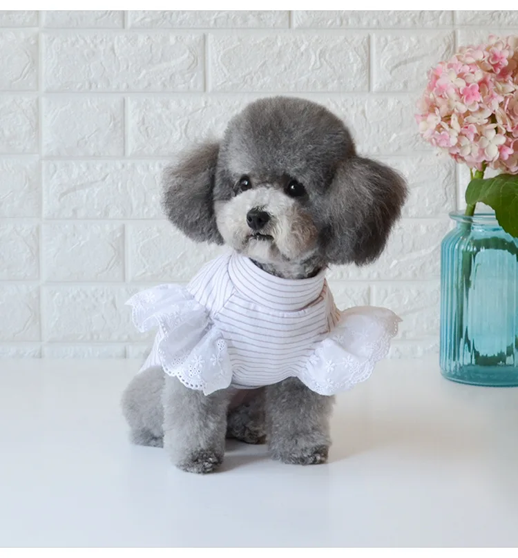 Dog Clothes Newest Spring and Summer Vests Pet Small Bottoming T-shirts |