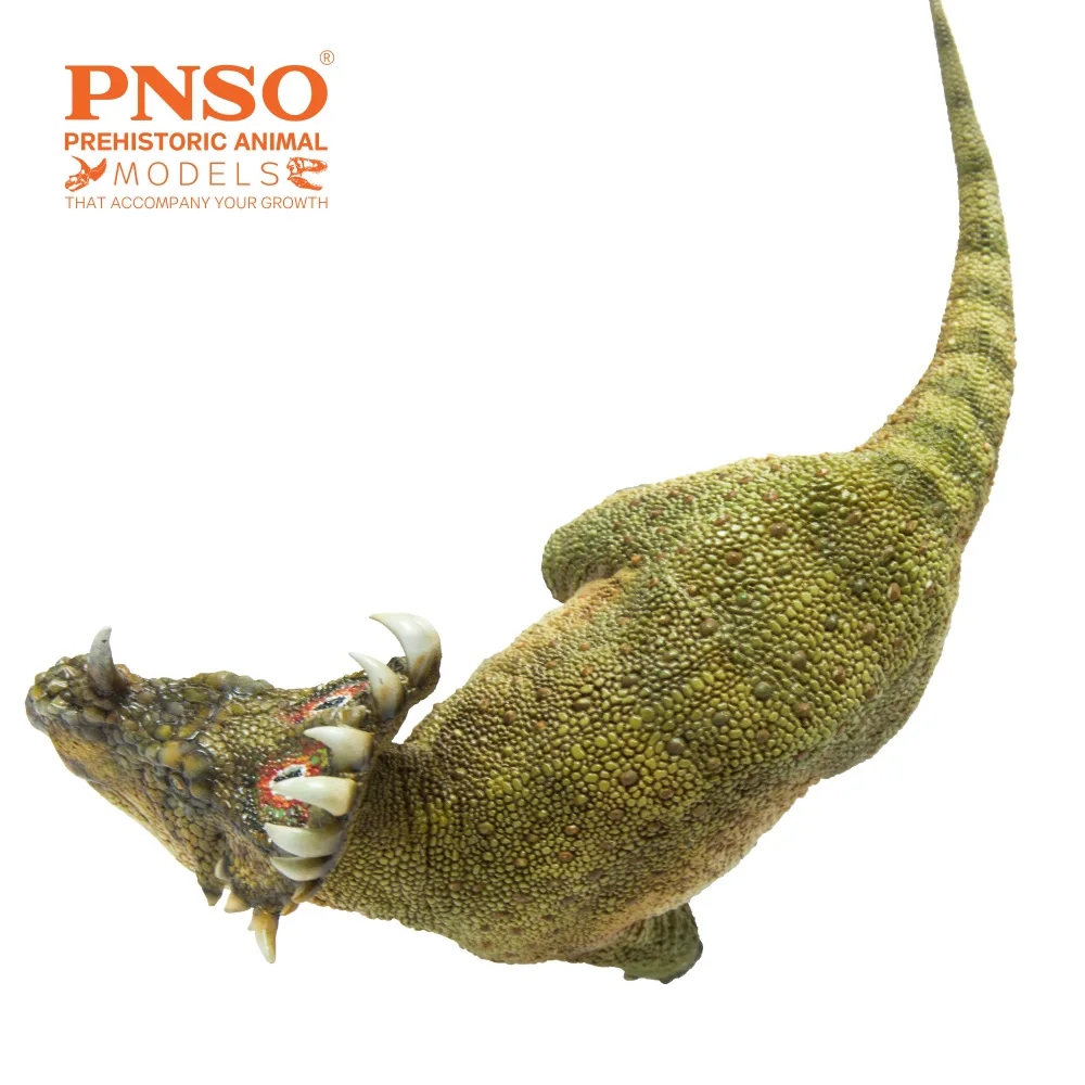 PNSO-modelo de dinosaurio preantiguo: 40 a-qi, Sinoceratops-4