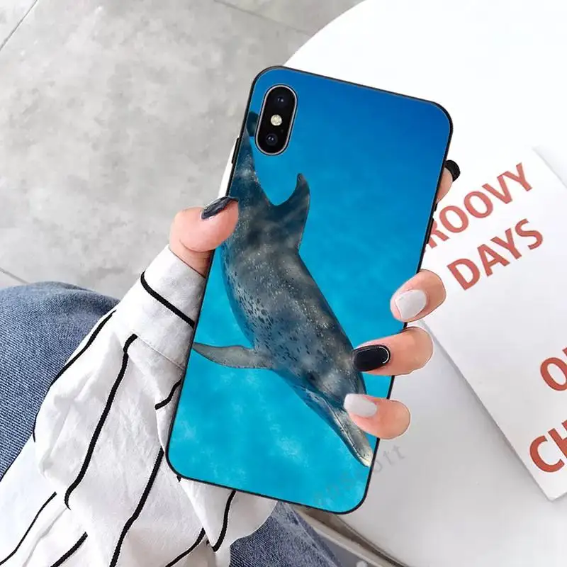 

dolphin cute Phone Cases for iPhone 11 12 mini pro XS MAX 8 7 6 6S Plus X 5S SE 2020 XR
