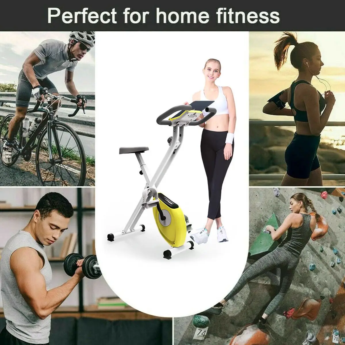 

Exercise Bike with Phone Holder Home Ultra-quiet Indoor Bike Fitness Bike Dynamic Bicycle Fitness Gym Cardio Workout Equipment