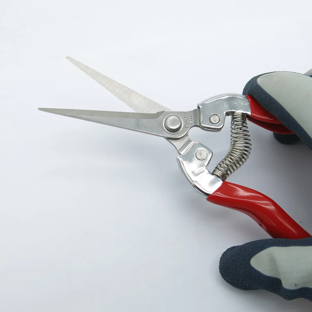 Ножницы для обрезки фруктов садоводство озеленение обрезка сада щипцы ножницы