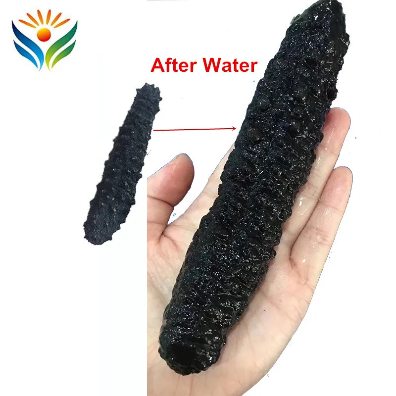 Класс AAA + 100% натуральный сушеный на солнце морской огурец 60 80 штук/500 г| |