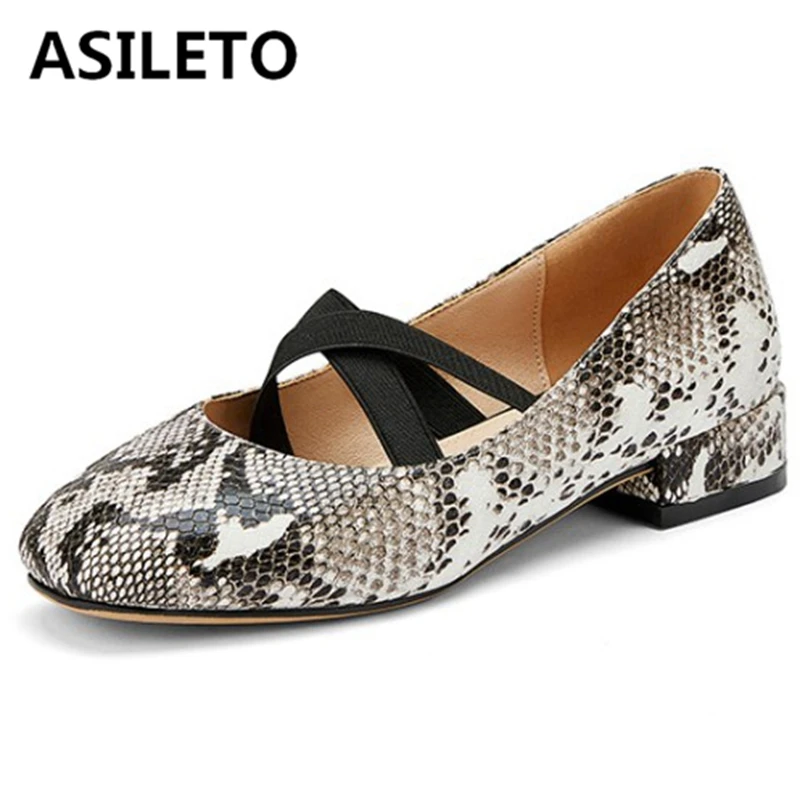 

ASILETO Ladies Spring Autumn Ballet Flats Round Toe 3cm Square Heels Snake pattern Slip on Plus Size 33-48 Leisure Date S1847