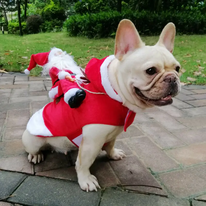 2020 Red Xmas Santa Pet Winter Coat Dog Warm Clothing Christmas Cat Puppy Hoodie Sweater | Дом и сад