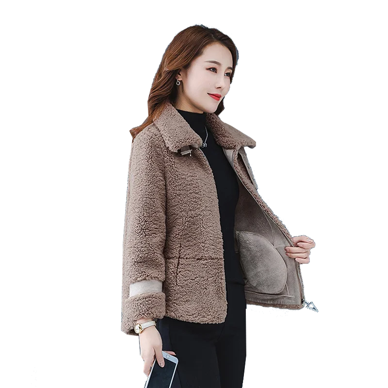 

Женское короткое пальто на осень и зиму 2020, дикая Корейская версия пуха ягненка, плюшевое маленькое иностранное плюшевое пальто, куртка L16