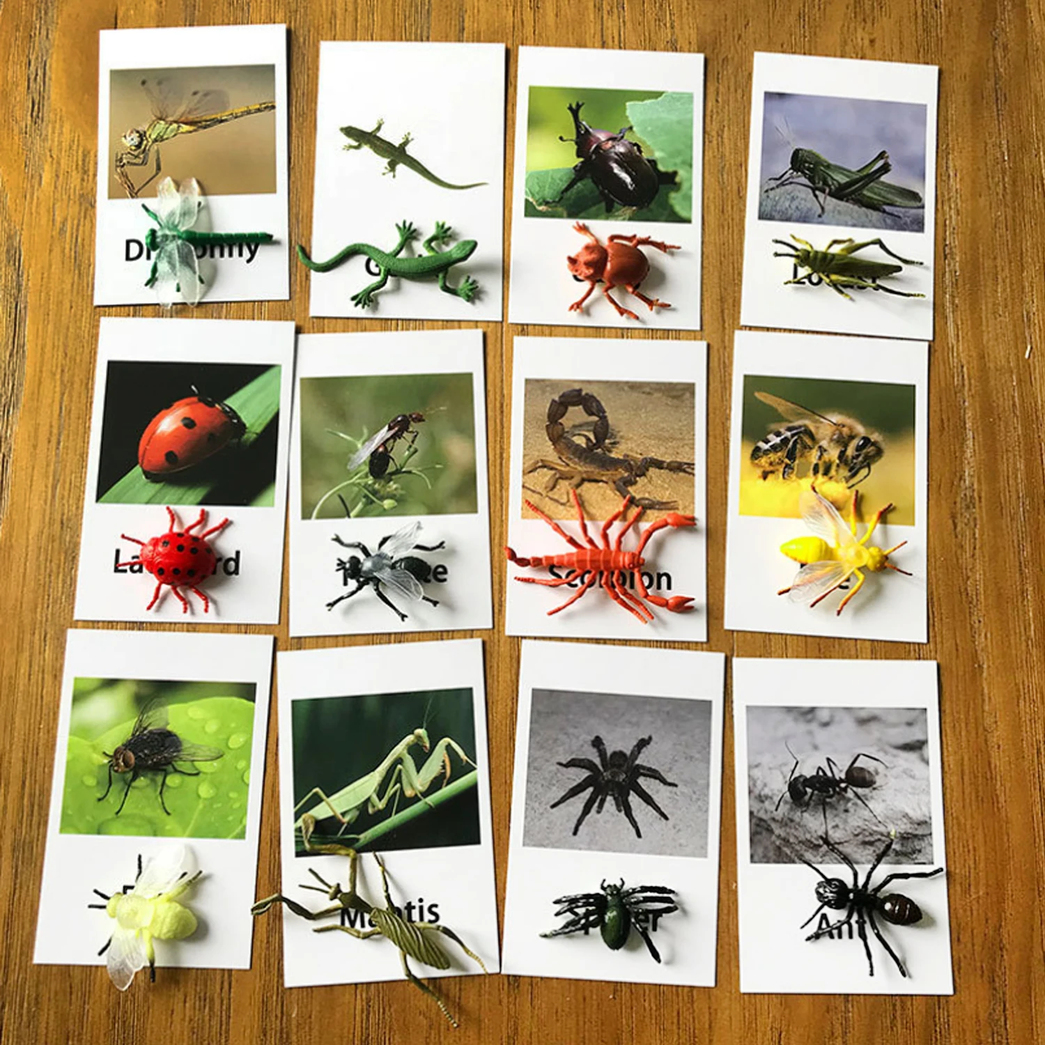 12 шт. дети насекомых животноводческая ферма животных морских Диких Животных