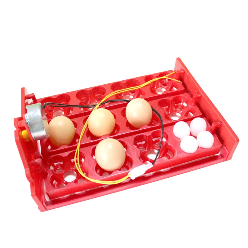 

12 Eggs/48 Birds Eggs Incubator Turn Eggs Tray 220V / 110V / 12V Motor Chicken Bird Hatching Equipment DIY Incubator Accessories