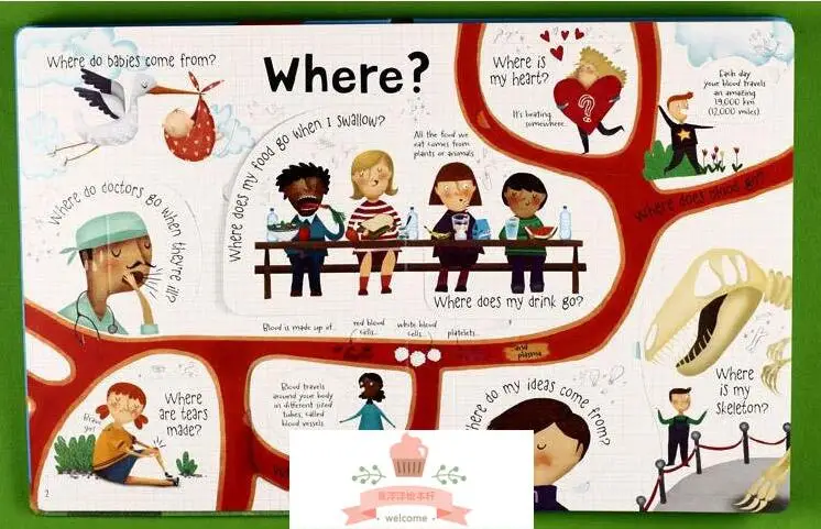

Usborne lift-the-flap Questions and Answers about your body English Educational Picture Books Baby kids learning reading gift