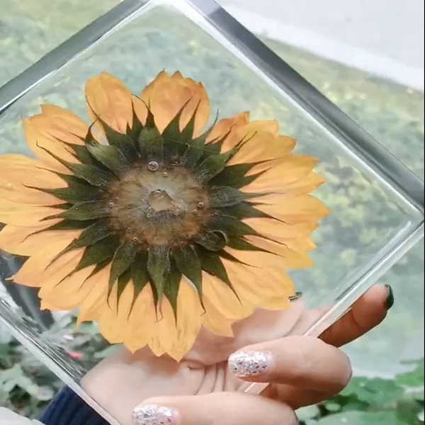 

Yellow Sunflower Dried Sun Flower Daisy Handmade Resin Crafts Art Xmas Gifts