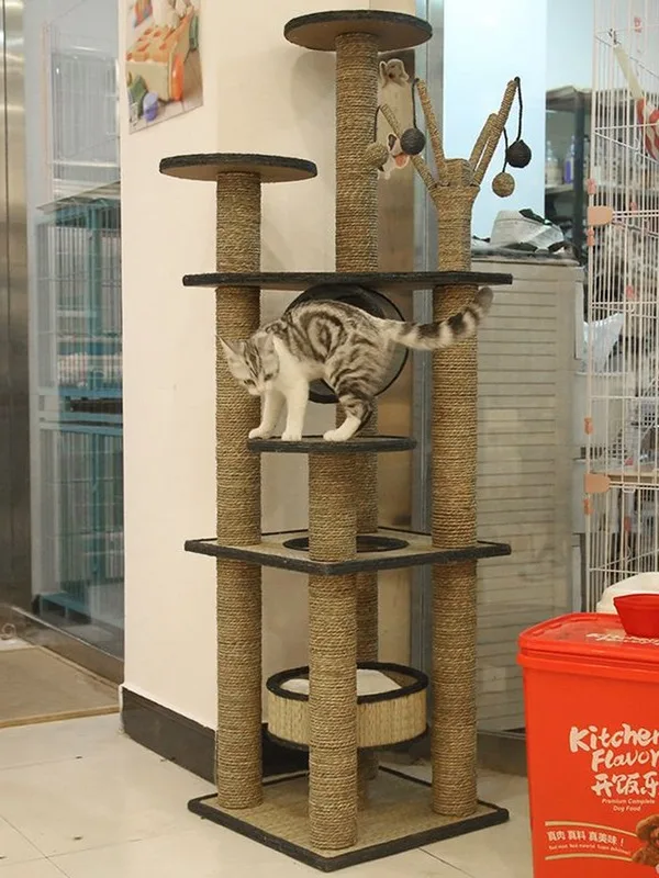 Кошка скалолазание кошачий наполнитель кошка дерево когтеточка Кошка скалолазание маленькая полка для кошки кошка прыжки дерево