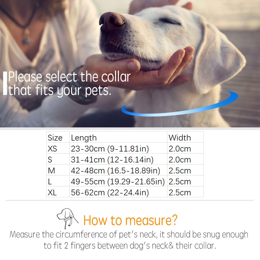 Персонализированные павлиньи узоры ошейник для собак буксировочный трос набор с