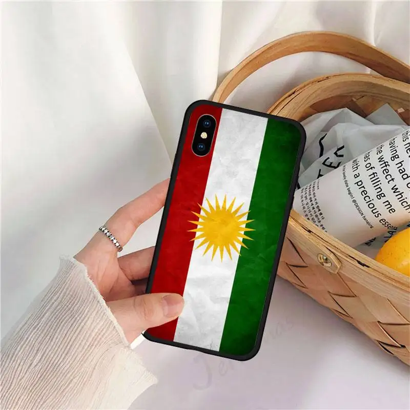 

Kurdistan Autonomous Region flag Phone Case for iPhone 11 12 mini pro XS MAX 8 7 6 6S Plus X 5S SE 2020 XR