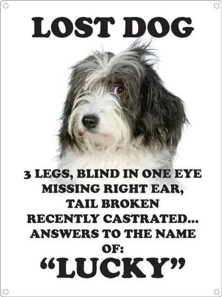 

Lost Dog Tin Sign