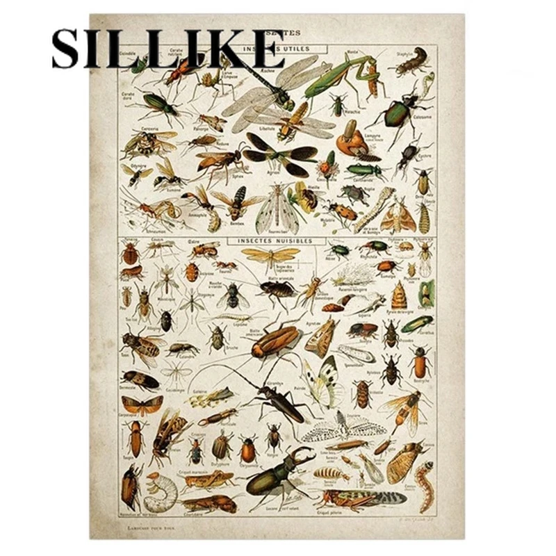 

Vintage Adolphe Millot Encyclopedia Posters Butterfly Mushrooms Herbs Flowers Insect Classic Wall Stickers Vintage Poster