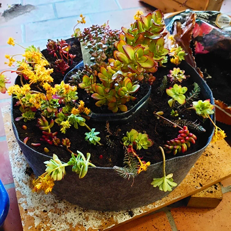 Ткань для выращивания горшок Открытый овощная сеялка посадочные сумки сад жизни