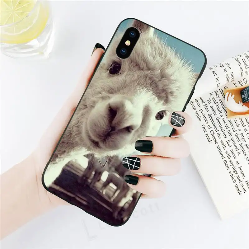 

Cute Lama Llama Alpacas Animal Phone Case for iPhone 11 12 pro XS MAX 8 7 6 6S Plus X 5S SE 2020 XR