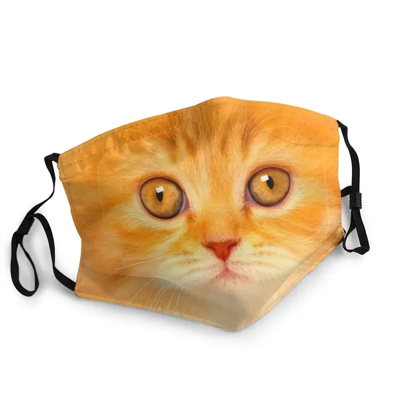 

British Shorthair Cute Kitten Face Closeup Face Mask Adult Cat Pet Anti Haze Dustproof Protection Cover Respirator Mouth Muffle