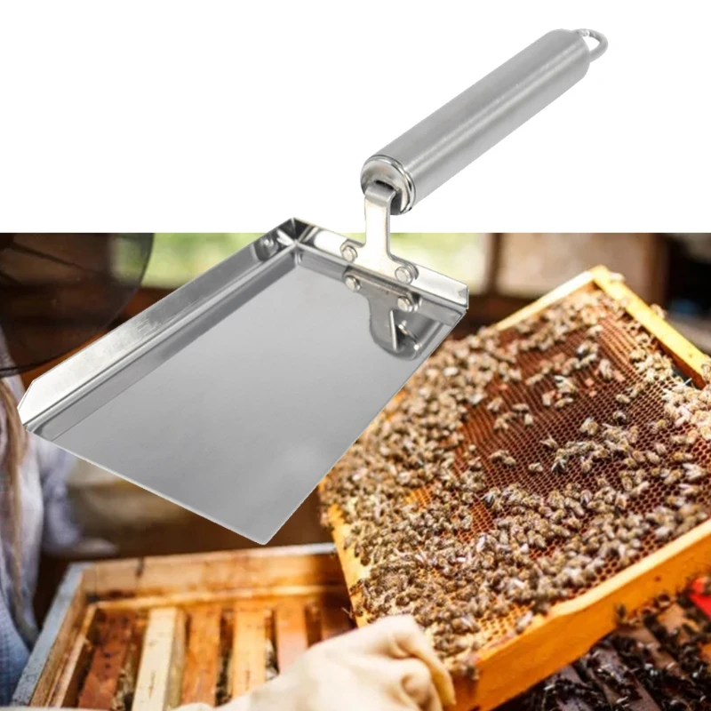 

Trapezoid Beehive Shovel Bee Box Cleaning Stainless Steel Honey Scraper Cleaner Beekeeping Scoop Clean Tool Home Garden