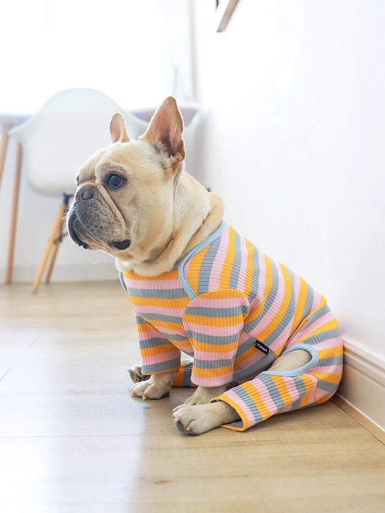 Нижнее пальто для домашних животных сезон осень зима цвет радуги в полоску