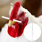 1000 шт. курица нос болт эффективно предотвратить петуха, Пластик член носовой стержень ярких селфи палка для птицы Курица аксессуары