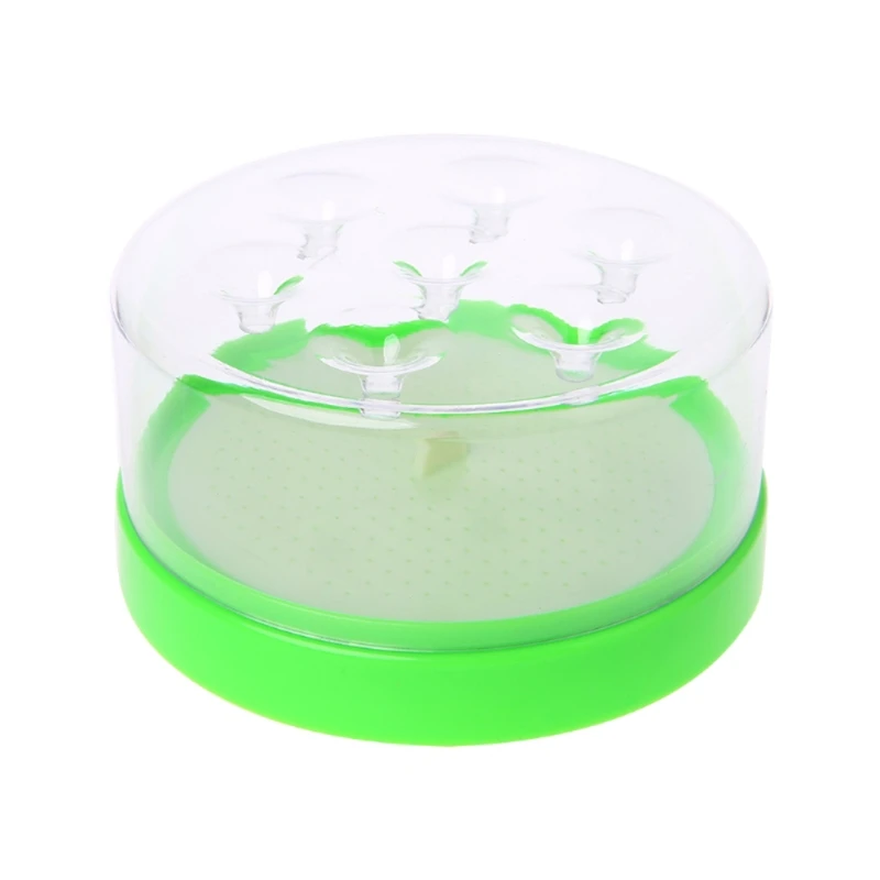 

Reusable Clear Green Killing Fruit Fly Catcher Flies Killer Flying Attractants Included Powder Bait Fly Trap Destroyer Table