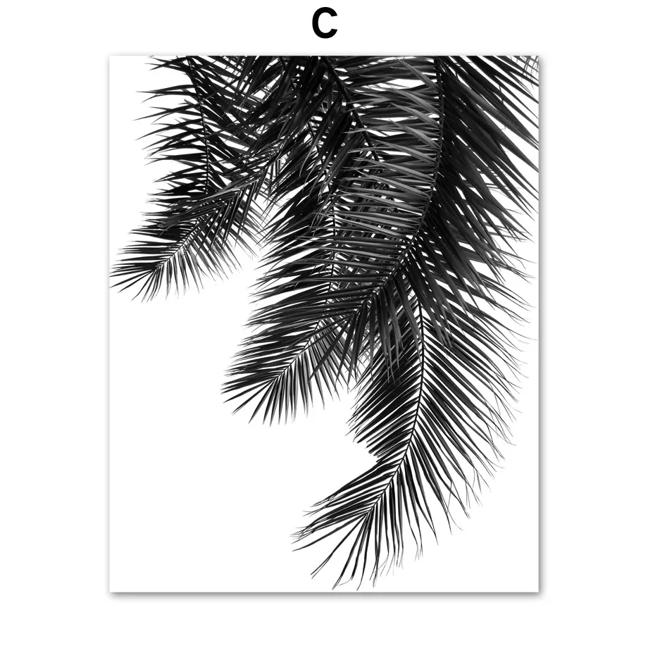 Плакаты и принты в скандинавском стиле с черными белыми пальмовыми листьями
