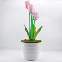 regeneration tulip animate tulip dream of the tulip magic tricks comedy satge illusion gimmick props appearng flower magia