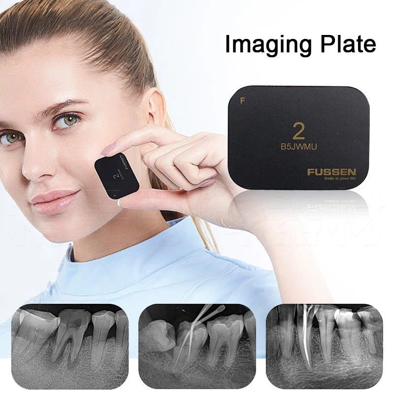 Зубные цифровой X Ray фосфористая IP изображение доска 0 #1 #2 #3 # Гибкая Пластина | Модель зубов с орто-металлическим кермическим кронштейном -4001155383956