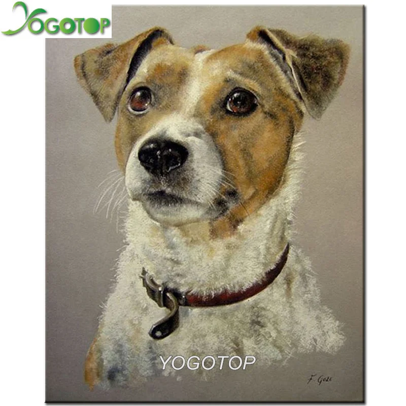 Алмазная 5d Вышивка сделай сам животное Джек Рассел терьер собака алмазная
