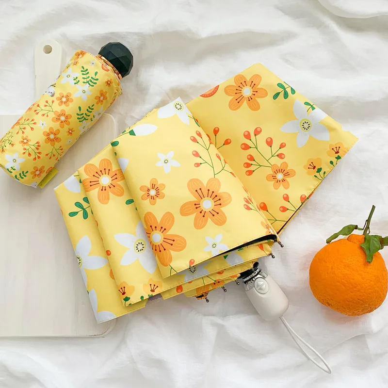 

Household Merchandises