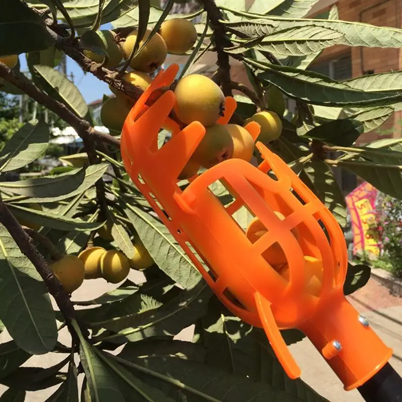 

Portable Fruit Picker Plastic Apple Orange Pear Mango Harvesting Picking Tool Gardening Fruit Catcher for Orchard Farm