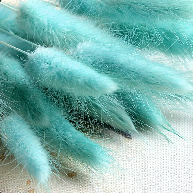 30 шт. сушеные цветы зайчик хвост трава натуральные растения Цветочный Кролик