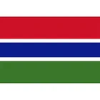 Флаг Гамбии Yehoy, подвесной 90*150 см для украшения