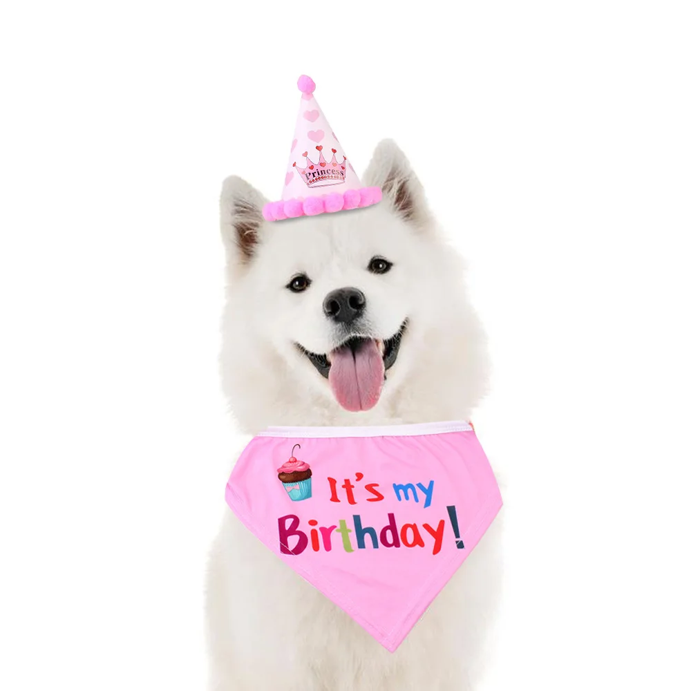 Собака День рождения шляпа шарф набор животное Рождения Вечеринка первый день