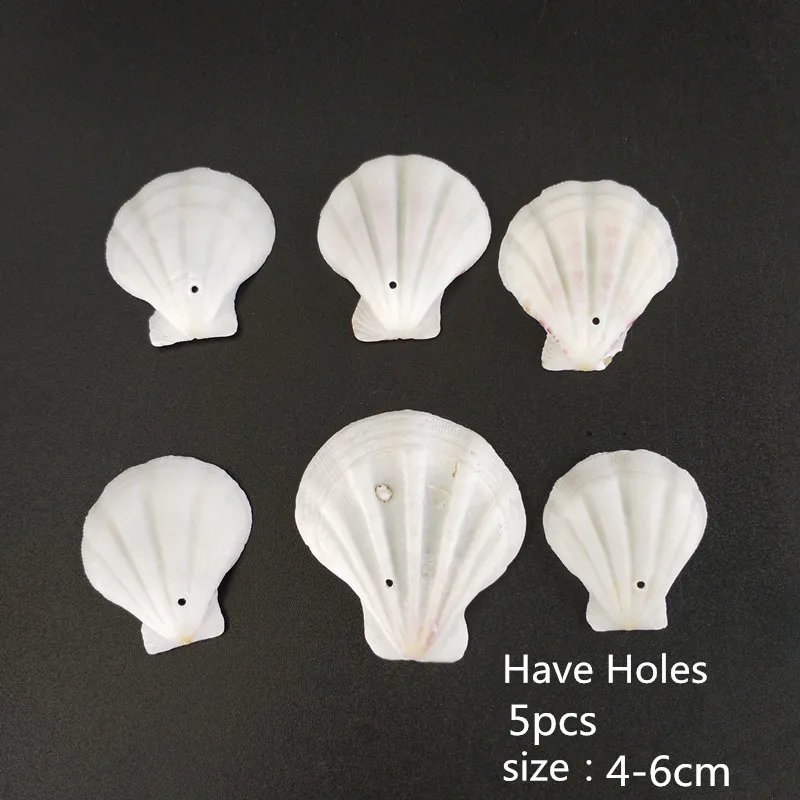 17 style 5pcs HappyKiss 1 набор смешанных ракушек для аквариума, морских декораций, натуральные мини-раковины для средиземноморья - Цвет: 17 style 5pcs