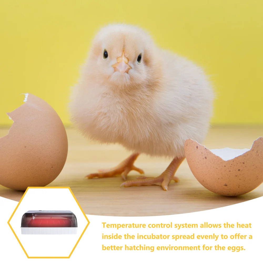 

Automatic Household Incubator Bird Geese Egg Experiment Teaching Incubation Equipment(12 Pieces Capacity With US Plug)